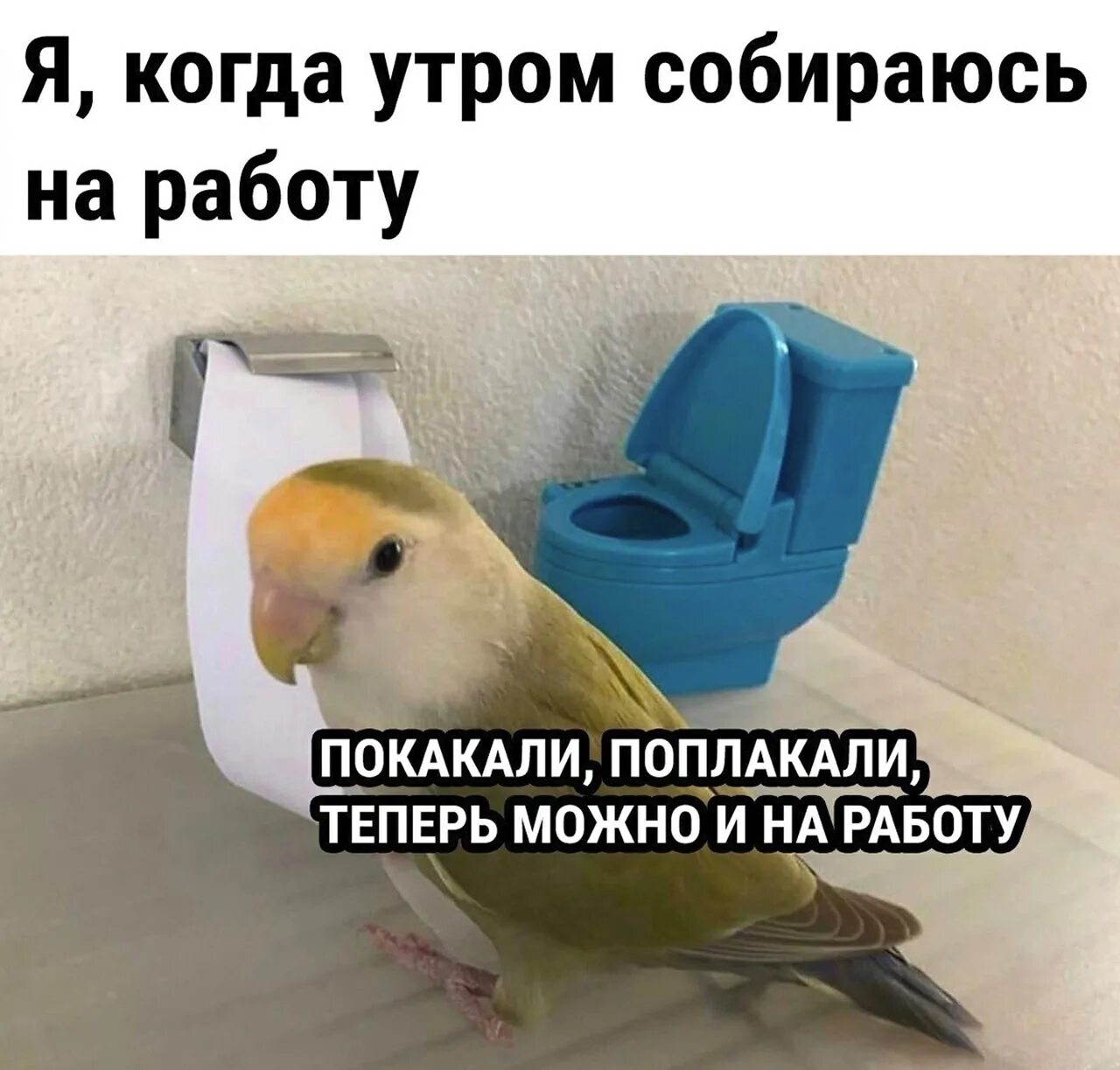 Теперь можно на работе