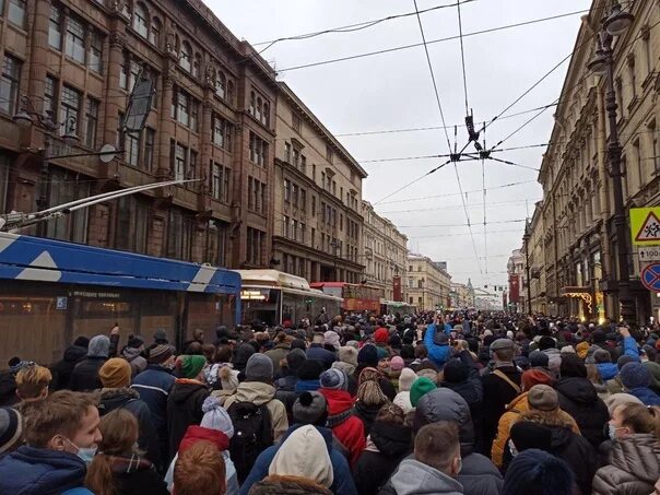 Новый проспект спб