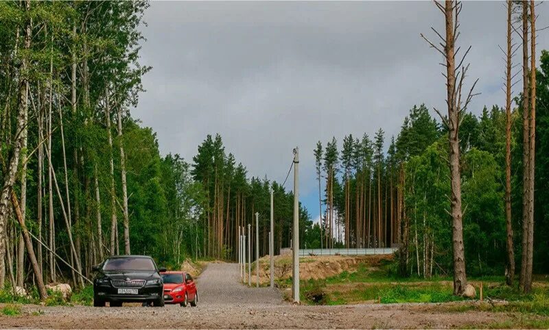 Монрепо. Поселок семиозерье ленинградская область. Озеро длинное ленинградская область. Погода в гаврилово ленобласть. Поселок семиозерье ленинградская область.