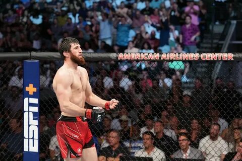 Ufc анкалаев прямой эфир