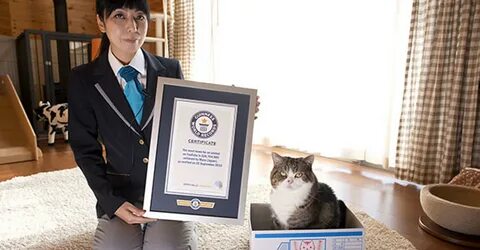 Попал в книгу гиннесса
