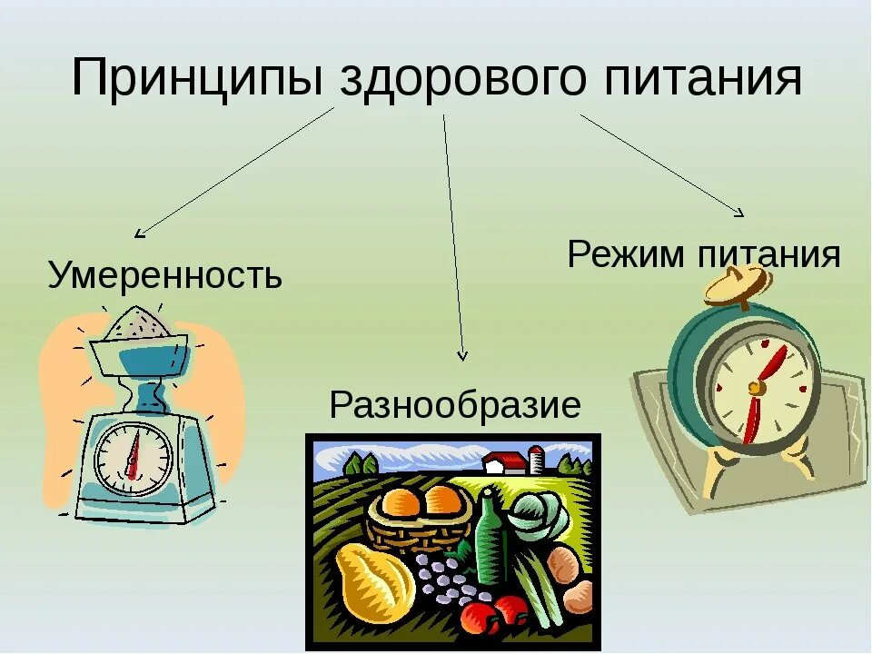 Основные принципы рационального питания умеренность. Принципы здорового питания. Принципы здорового питания для детей. Принципы рационального питания изображение.