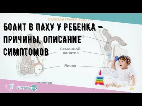 У ребенка болит в паху слева. Ноющая боль в паху слева