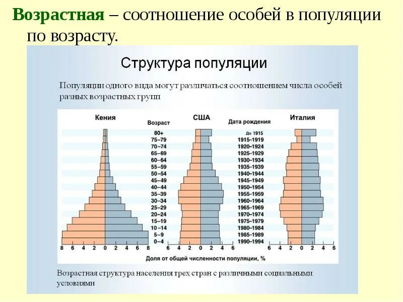 Возрастные группы популяции. Возрастная структура популяции. Типы возрастной структуры популяций. Что такое половая и возрастная структура популяции. Возрастная пирамида популяции.