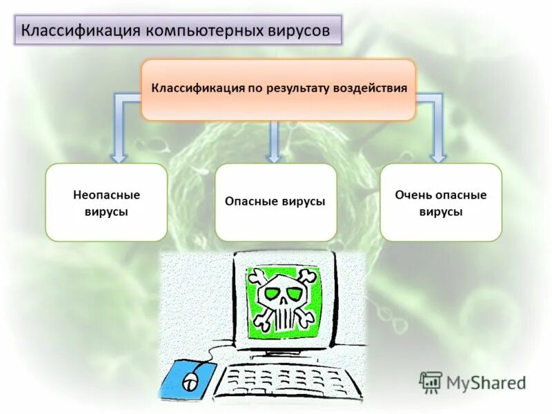 классификация компьютерных вирусов по воздействию. степень опасности компьютерных вирусов. классификация компьютерных вирусов по воздействию. классификации вирусов компьютера. принципы классификации вирусов информатика.