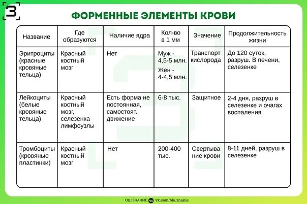 Форменные элементы формы. Форменные элементы крови с ядром. Форменные элементы крови наличие ядра. Место образования форменных элементов крови. Форменные элементы таблица.