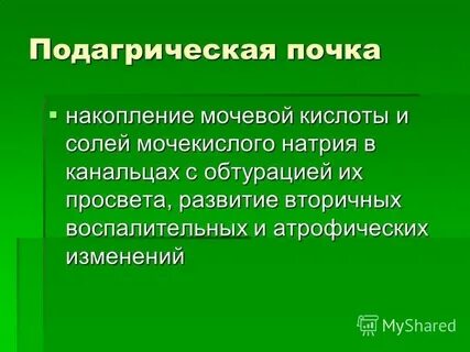 Почки накопления