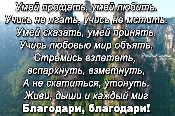 Умей прощать. Стих умей прощать. Уметь любить уметь прощать. Уметь прощать стихи.