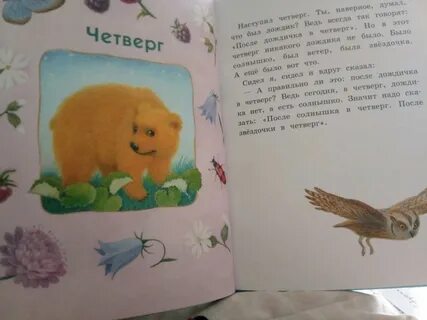 Как цыпленок впервые сочинил