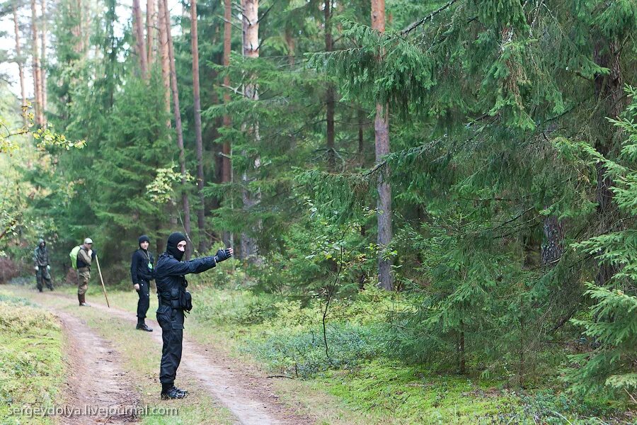 Человек в лесу. Человек мох. Современные отшельники. Выжить в лесу. Человек заблудился в лесу.