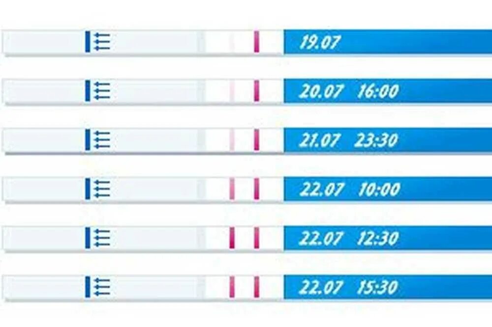 Тест на овуляцию. Тест полоски на овуляцию. Тест на овуляцию и беременность. Полоски на тесте на овуляцию. Когда после овуляции делать тест на беременность