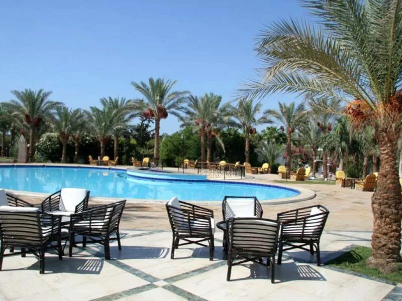 Египет дессоле Сити Шарм. Seti Sharm Palm Beach Resort Шарм-Эль-Шейх. Seti Sharm Resort 4. Dessole Seti Sharm Resort (Шарм-Эль-Майя).