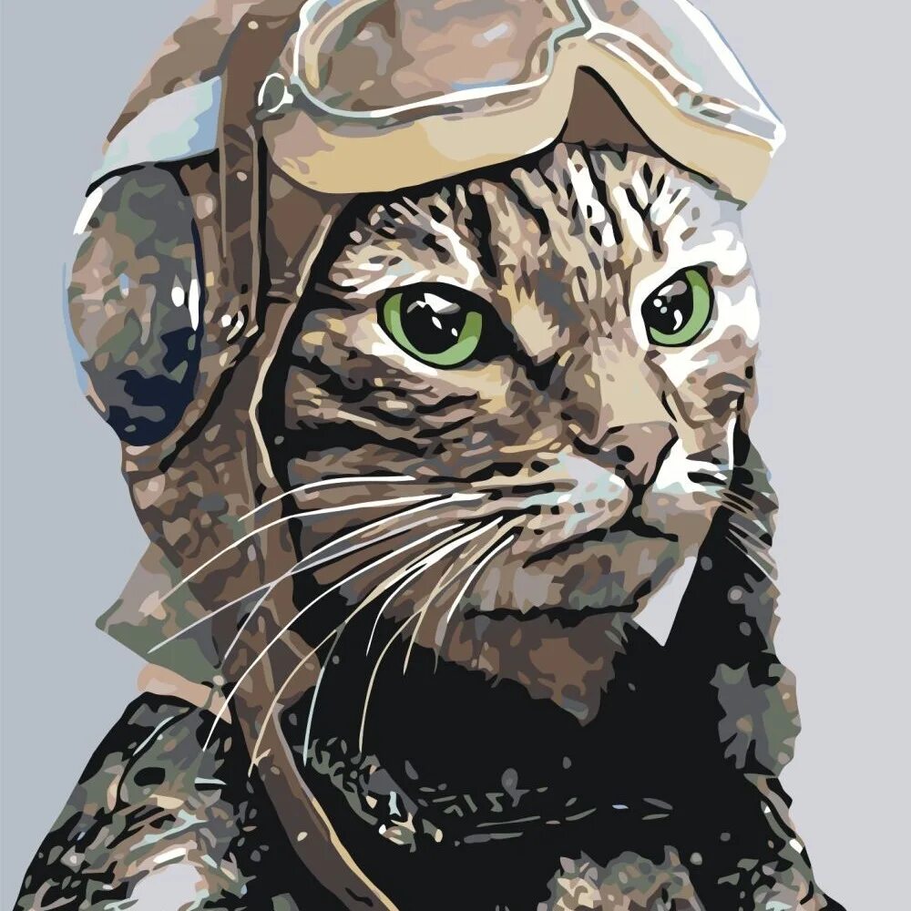 Army cat