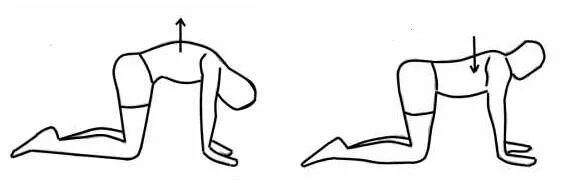 Упражнения 20 секунд. Упражнение кошечка. Упражнение кошечка для позвоночника. Кошечка упражнение для спины. Схематическое изображение упражнений.