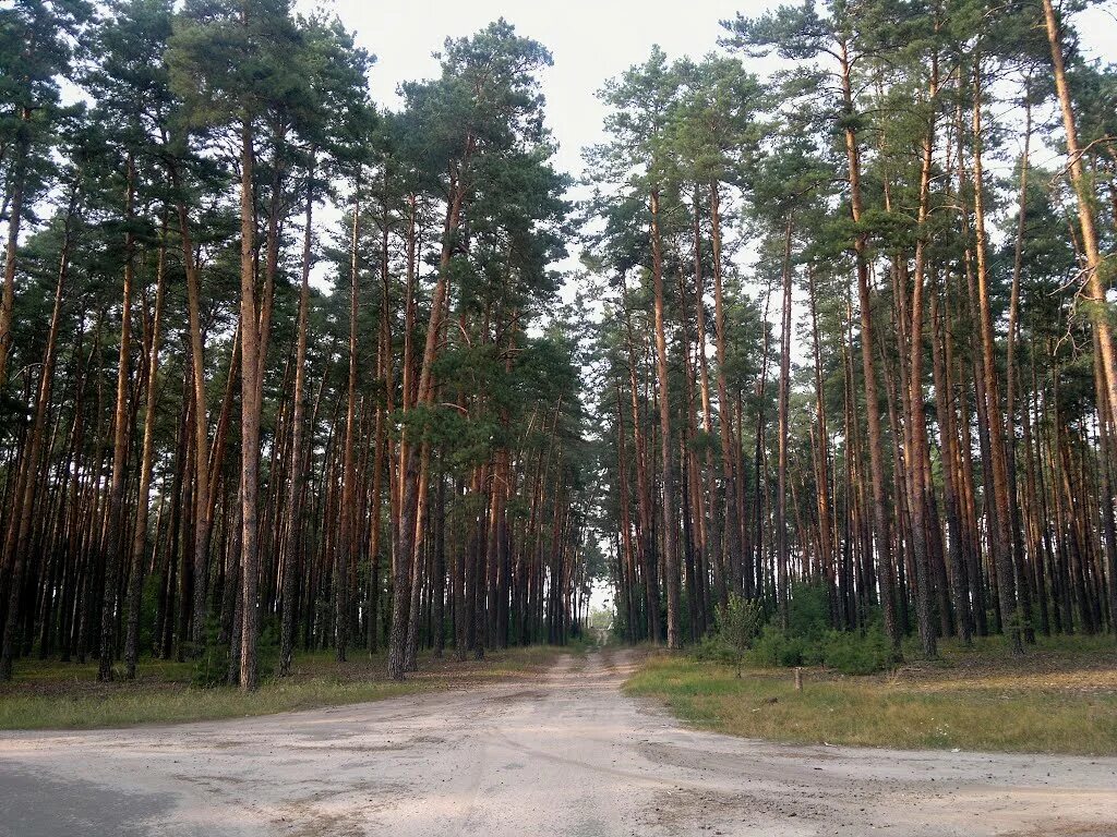 сновск черниговской обл. сновск украина. щорс черниговская область. город щорс черниговская область. сновск украина.
