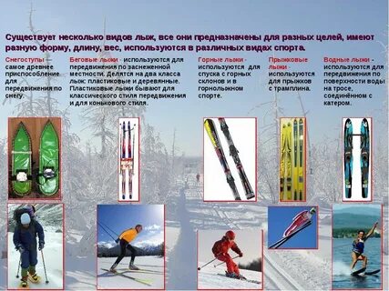 Виды зимних лыж