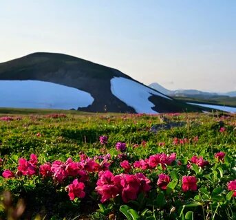 Участок камчатский край
