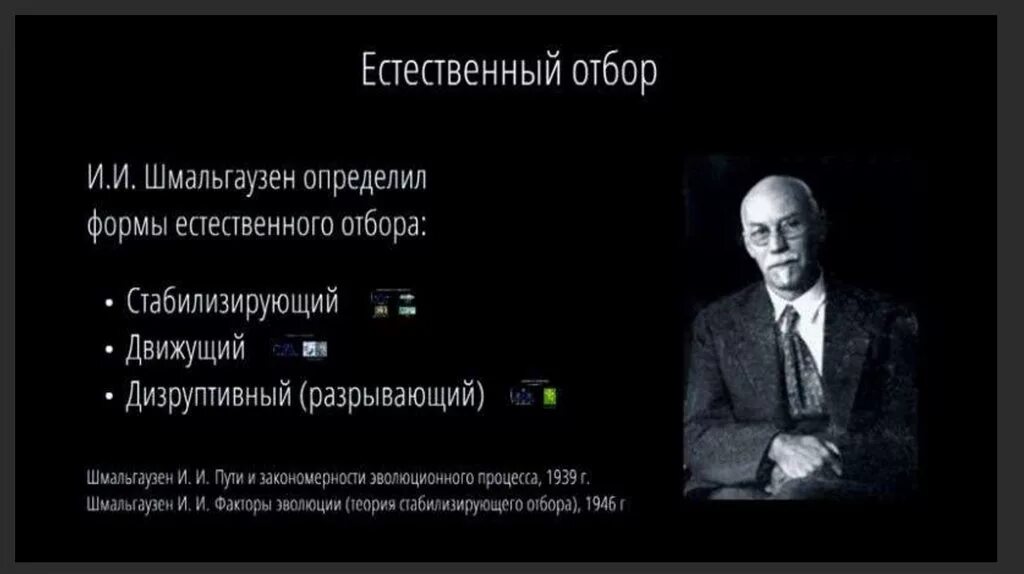 Теория естественного развития. Шмальгаузен теория эволюции. Естественный отбор и его формы Шмальгаузен. Формы естественного отбора по Шмальгаузену. «Факторы эволюции. Теория стабилизирующего отбора».