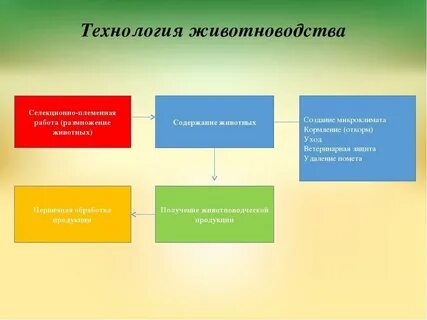 Процесс производства животноводства