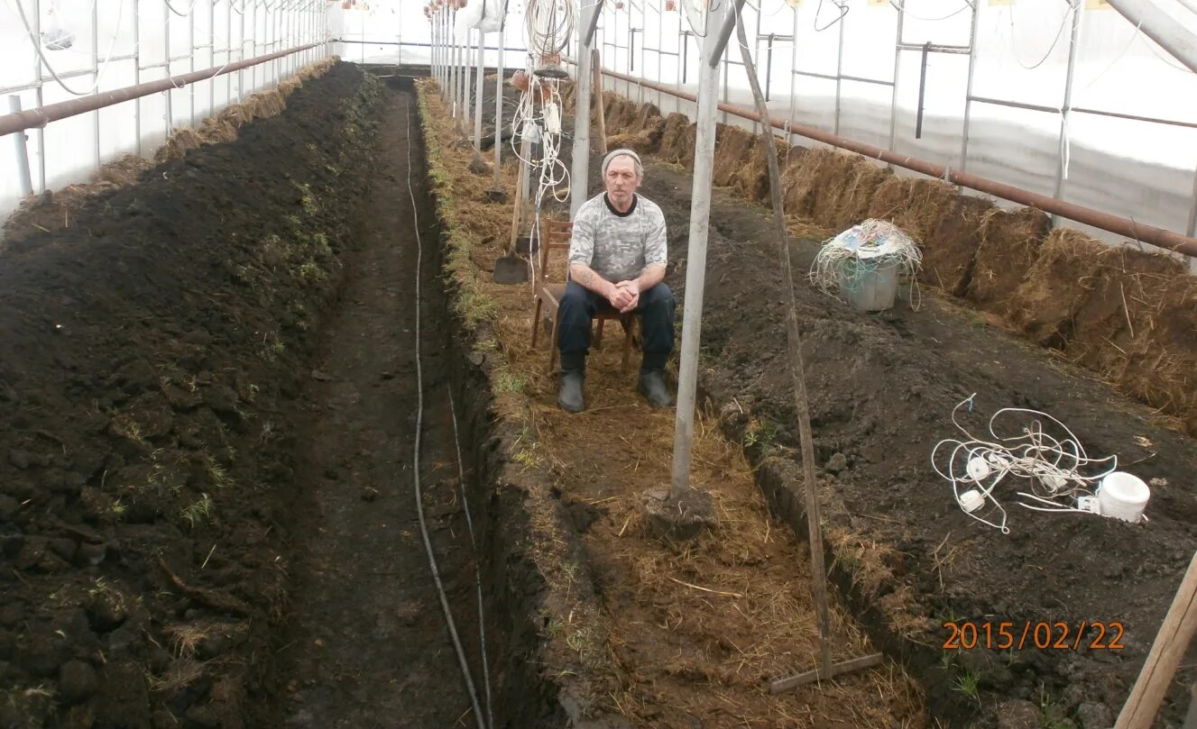 Теплые грядки в теплице. Парник из навоза. Парник на теплой грядке. Теплая грядка с навозом. Навоз теплице