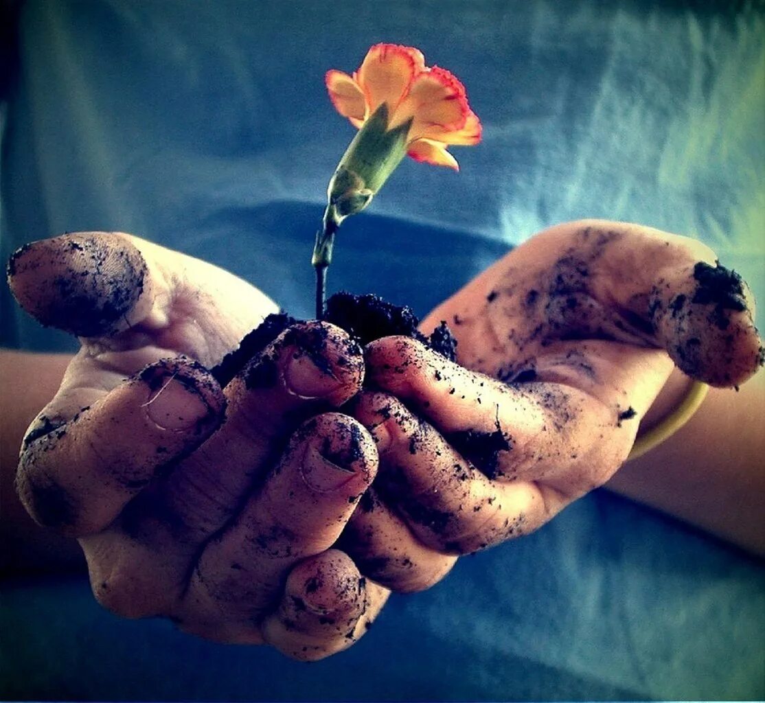 Я спасаюсь от цветка испытаний 24. Цветы в ладонях. Жизнь в руках. Цветок на руку.. Цветочки из жизни.