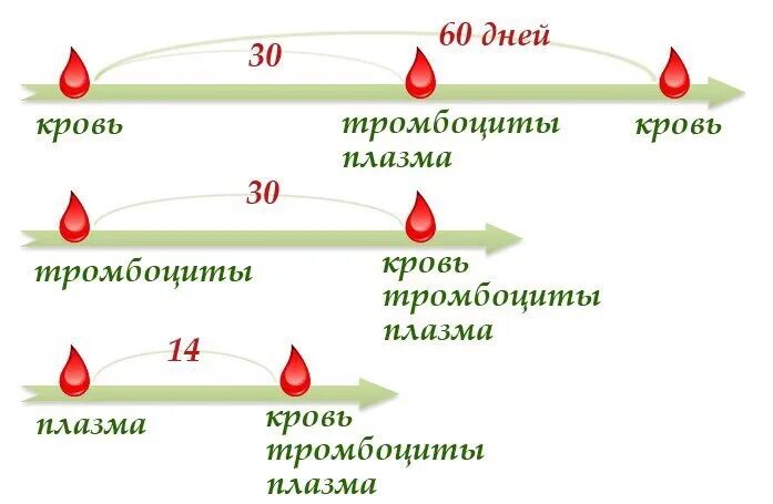 Сколько можно сдавать тромбоциты