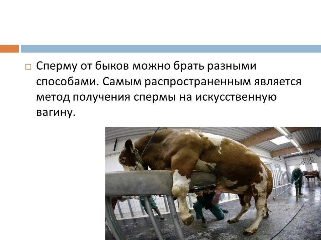 Кончаться бывший