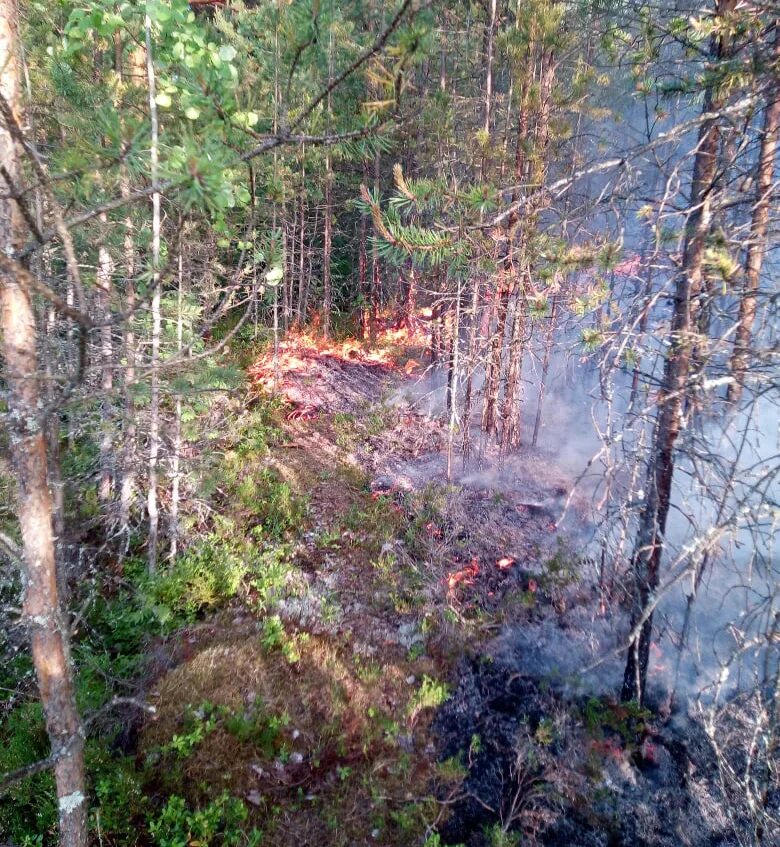 Под петрозаводском