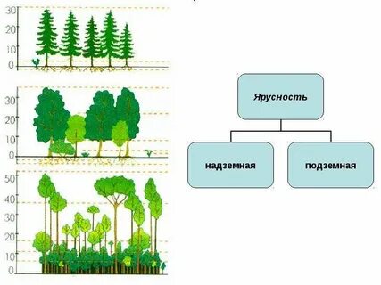 Экосистема метр квадратный