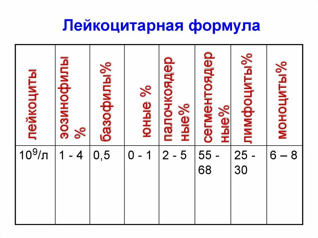 Лейкоцитарная формула расшифровка у взрослых. Лейкоцитарная формула таблица с функциями. Состав лейкоцитарной формулы крови. Лейкоцитарная формула табличка. Лейкоцитарная формула схема.