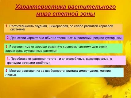 Краткая характеристика зоны степей по плану