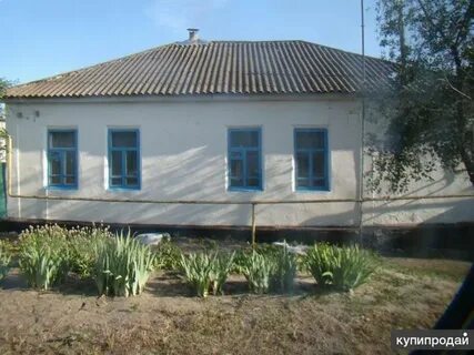 Частные объявления лиски