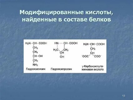 В состав белков входят кислоты
