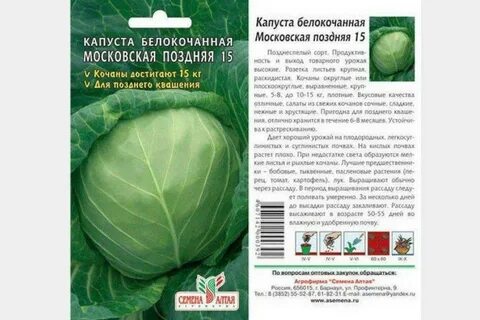 Названия поздних сортов капусты