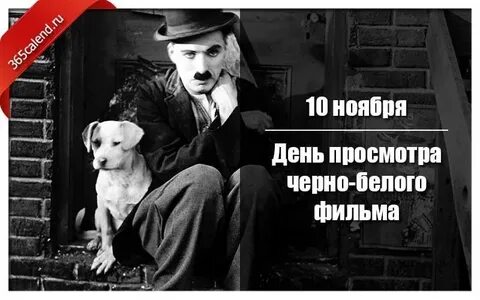 День просмотр