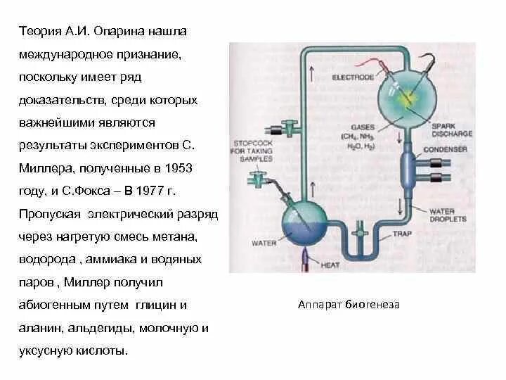 А и опарин холдейна. А и опарин холдейна
