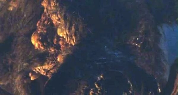 Кабан 2008. Кабан 2008. Охота фильм 1988. Охота на кабана фильм 2008 кабан. Охота на кабана фильм 2008 кабан.