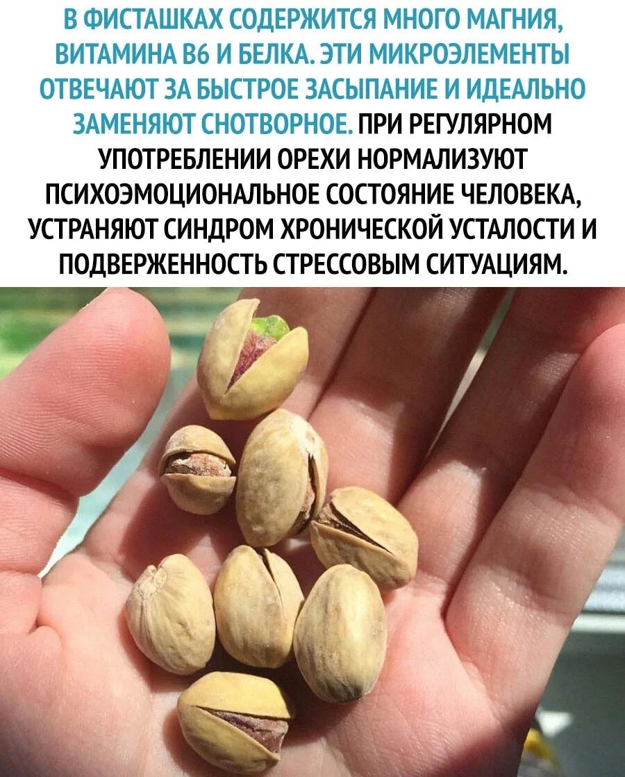 Фисташки полезные свойства. Польза и вред фисташек. Польза и вред фисташек. Польза и вред фисташек. Полезны ли фисташки.
