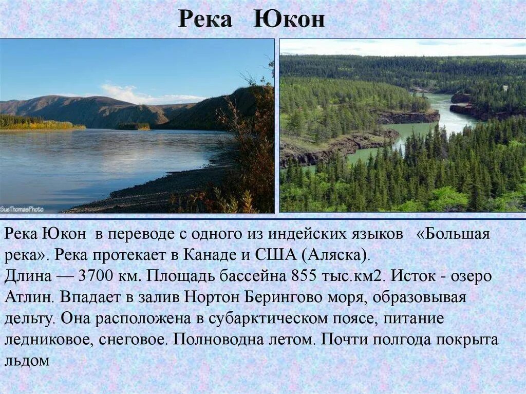 Юкон притоки. Река Юкон Северная Америка. Исток реки Юкон. Река Юкон презентация. Река Юкон впадает.