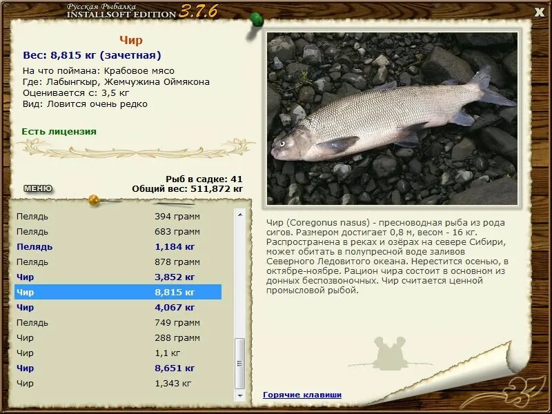 ценная промысловая рыба 8 букв. промысловые рыбы презентация. ценная промысловая рыба 8 букв. ценная промысловая рыба 8 букв. промысловые рыбы.