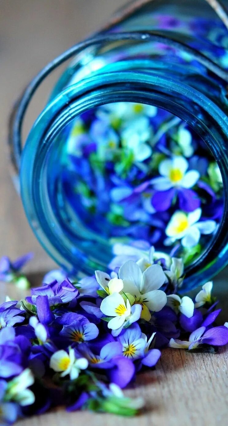 Tiny flower. Tiny flower