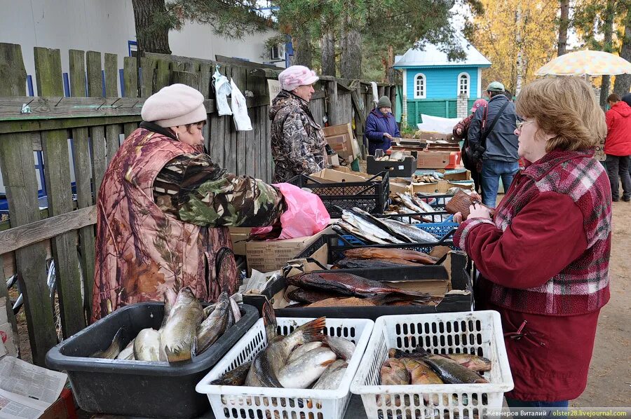 Погода в весьегонске на неделю. Погода в весьегонске на неделю