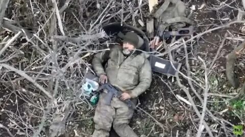 Волк чвк видео