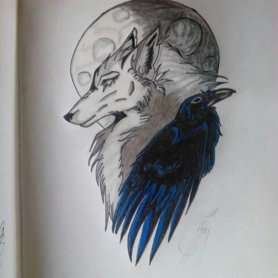 тату волк с вороном. волк эскиз. тату волк с вороном. волна тату эскиз. тату волка и ворона.