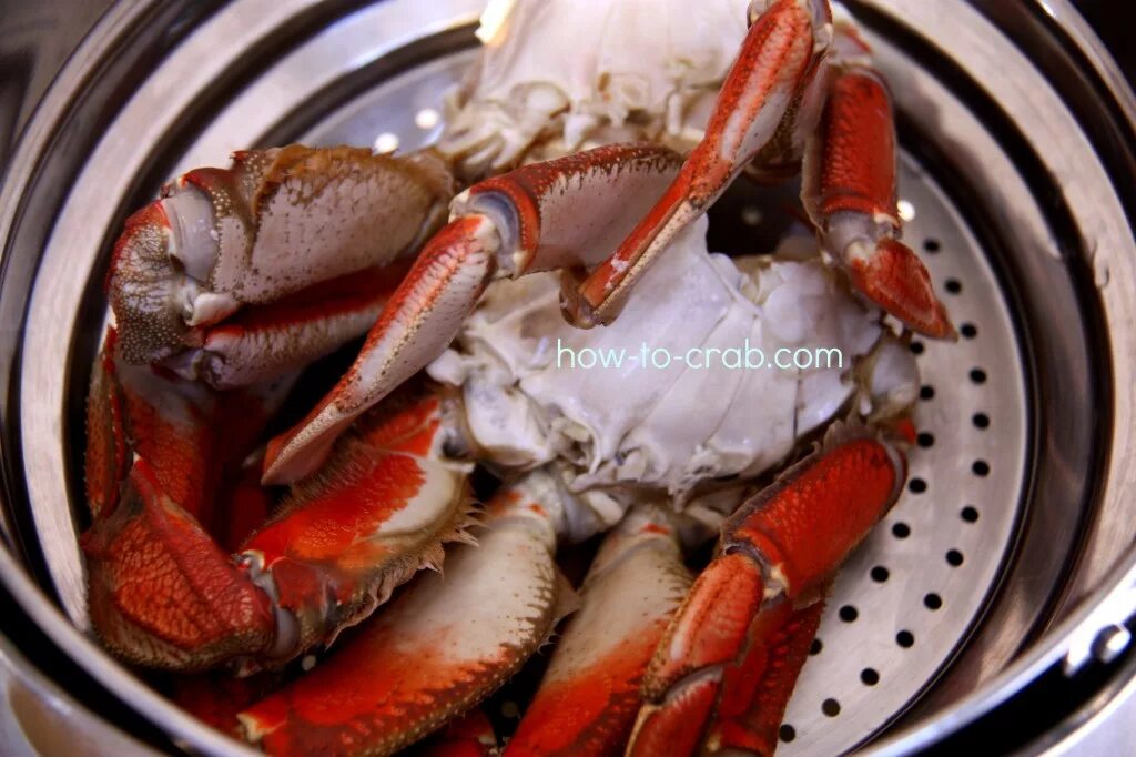 сколько варить клешни. краб отварной. клешни краба стригуна. сколько варить клешни. камчатский краб полосатик.