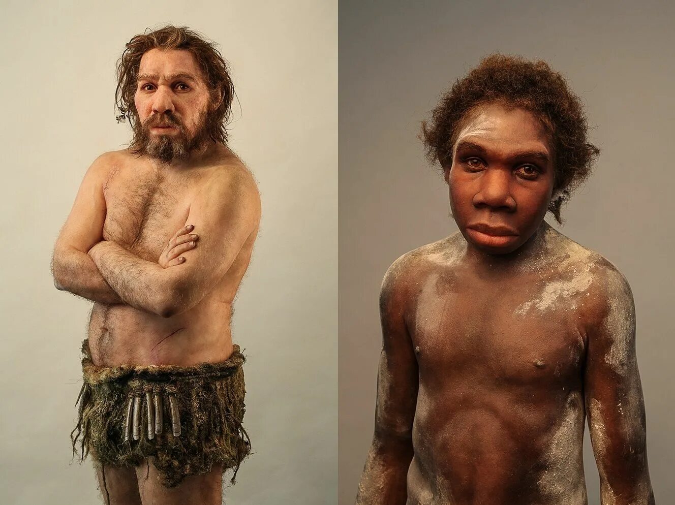Люди теряют человеческий облик. Хомо сапиенс неандерталенсис. Неандерталец (homo Neanderthalensis). Homo sapiens и неандертальцы. Кроманьонец ( homo sapiens).
