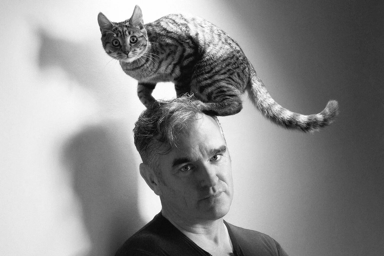 Морриси. Патрик Моррисси. Morrissey with Cat.