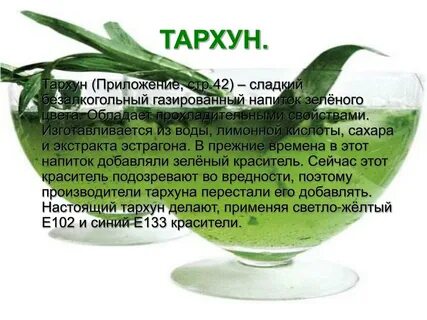 Эстрагон польза и вред