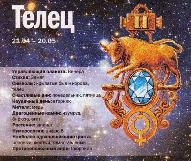 Телец какое дерево. Телец гороскоп. телец характеристика знака. телец зодиак характеристика. планета тельца по гороскопу.