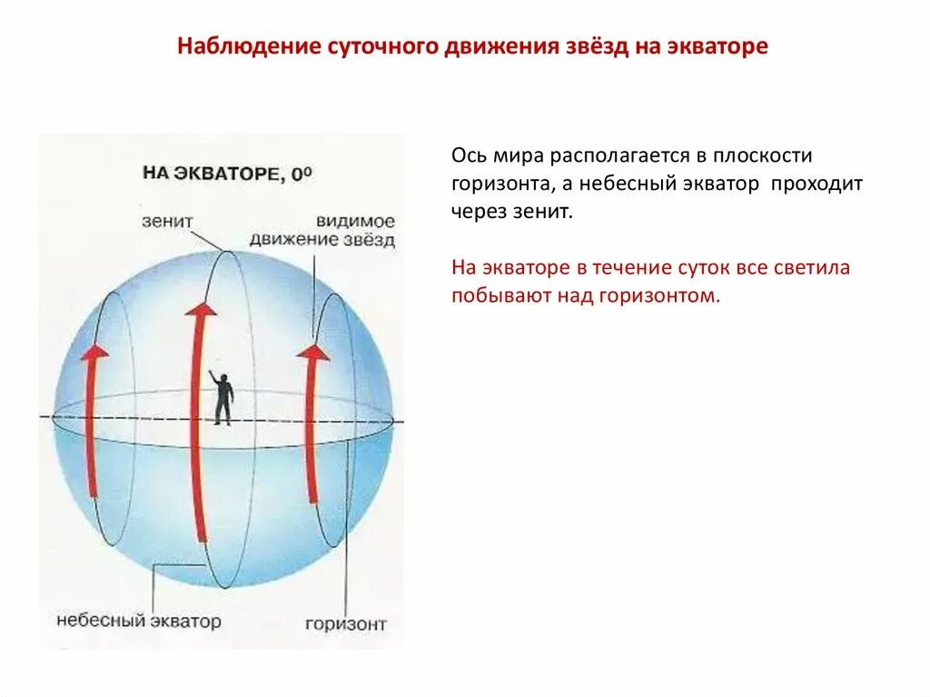 Наблюдение суточного движения звёзд на экваторе. Видимые движения звезд на различных географических широтах. Суточные пути звезд относительно небесного экватора располагаются. Наблюдение суточного движения звёзд в средних широтах. Направление движения звезд